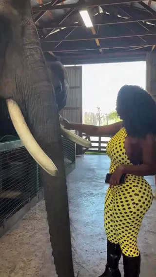 bimbonique leaked video, frame 6