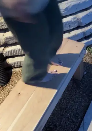 bonnierabbit leaked video preview