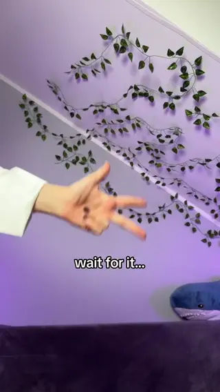 brattyluna leaked video preview