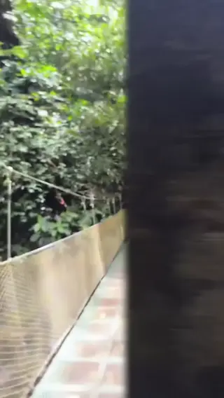 bufalika leaked video preview
