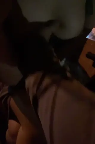 camelliaslave leaked video, frame 5