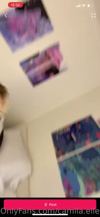 camilaelle leaked video, frame 2