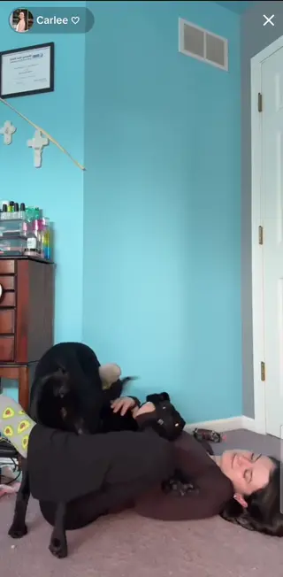 carleehosch leaked video preview