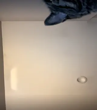carlieemarieee leaked video, frame 5