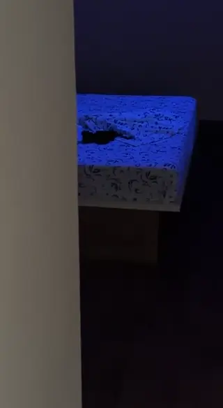 casal_mulekadinha leaked video preview