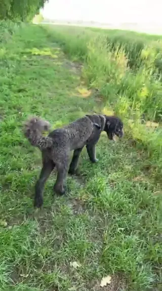 cassandras.5866 leaked video, frame 3