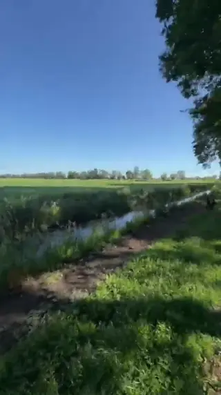 cassandras.5866 leaked video, frame 5