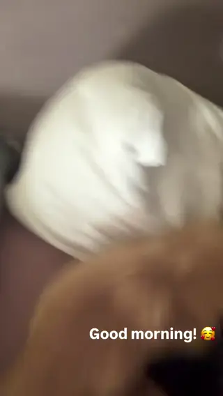 catherine_bell leaked video, frame 4