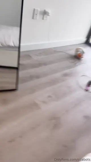 ccabots leaked video, frame 6