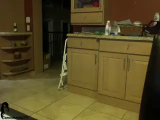 celeste leaked video, frame 3