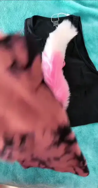 chiquibunny leaked video preview