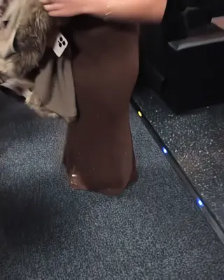 cinnabrit leaked video, frame 1