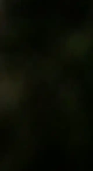 clappertona leaked video, frame 5