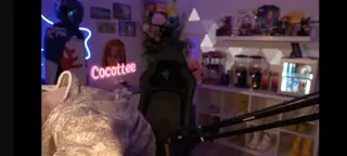 cocottee leaked video, frame 5