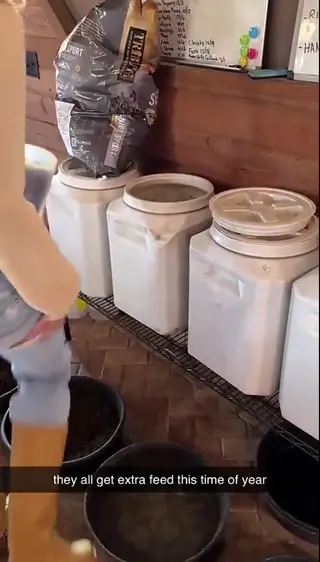 corinnakopf leaked video, frame 1