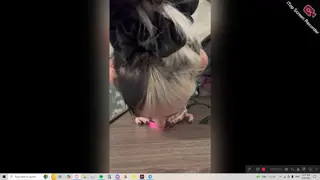 cruellamorgan leaked video, frame 5