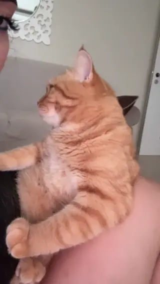 cucuppem leaked video preview