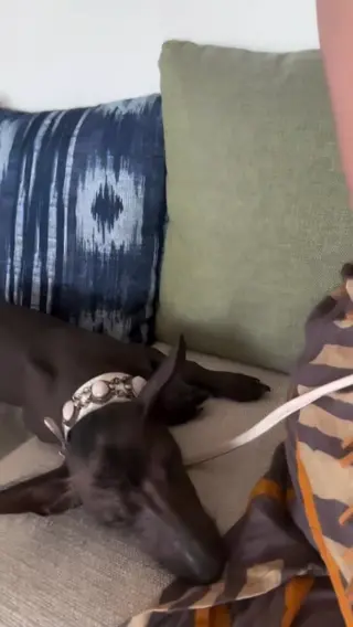 demirose leaked video, frame 4