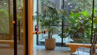 demitrakalogeras leaked video, frame 4