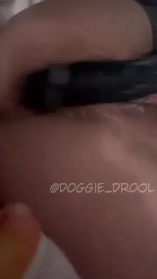 doggie_drool leaked video preview