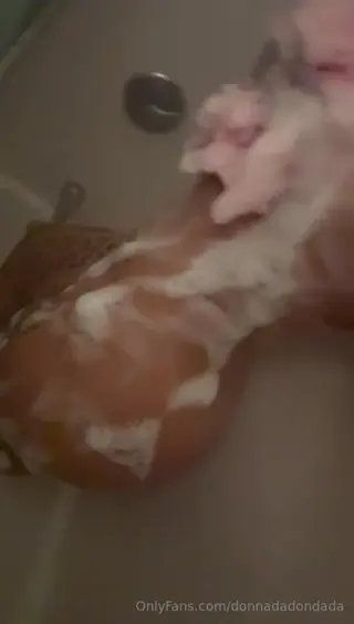 donnadadondada leaked video, frame 4