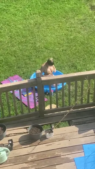 dumbbitchmurphy leaked video, frame 2