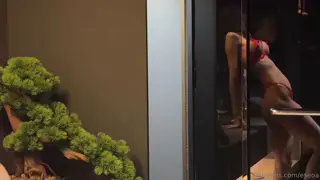 e_seoa leaked video, frame 6