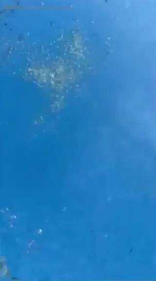 elenakamperi leaked video, frame 1
