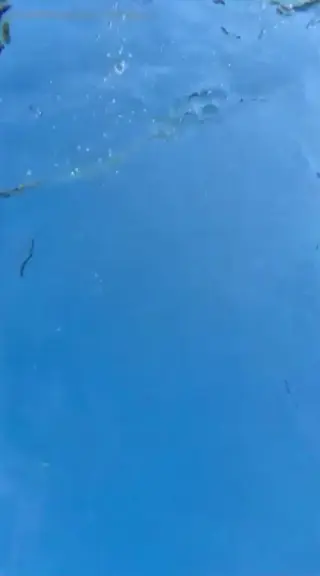 elenakamperi leaked video, frame 2