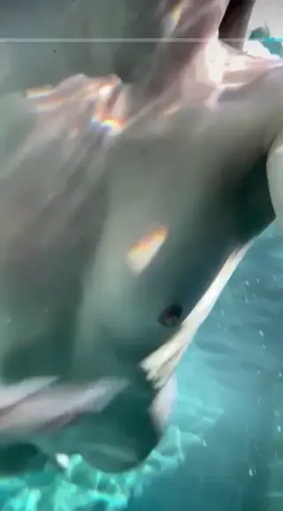 elenakamperi leaked video, frame 1