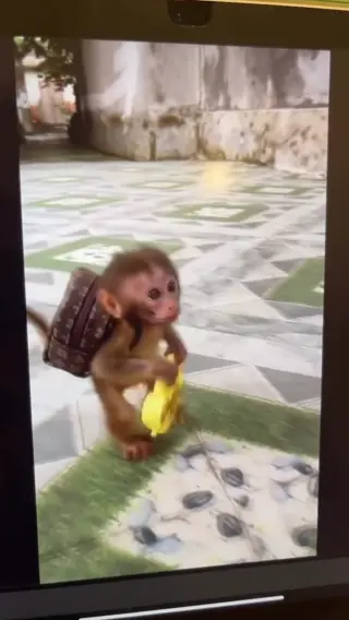 emilysylraa leaked video, frame 4