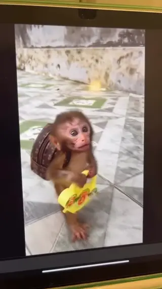 emilysylraa leaked video, frame 6