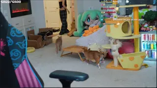 emiru leaked video, frame 6