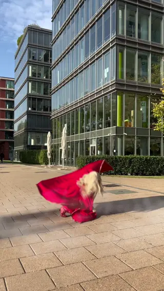enjinight leaked video preview