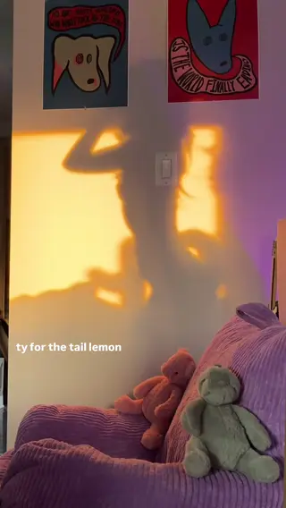 essaere leaked video, frame 1