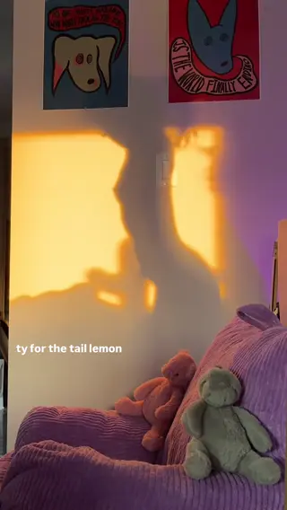 essaere leaked video, frame 2