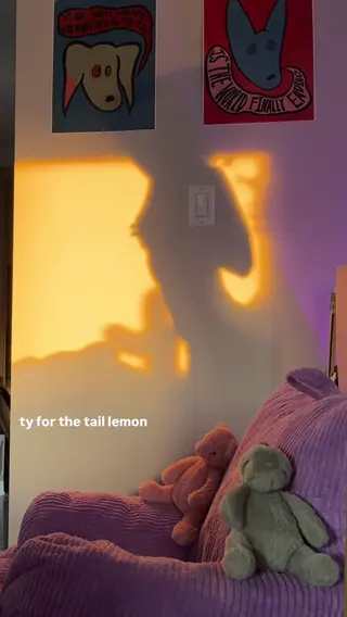 essaere leaked video, frame 3