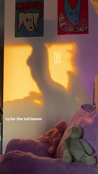 essaere leaked video, frame 4