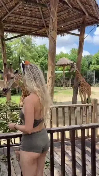 evaelfie leaked video preview