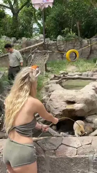 evaelfie leaked video preview