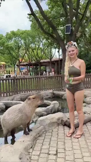 evaelfie leaked video preview