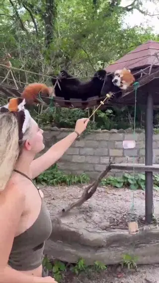 evaelfie leaked video preview
