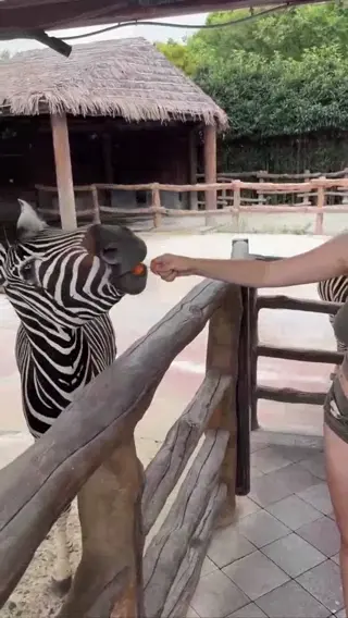 evaelfie leaked video preview