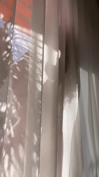 evapadlock leaked video, frame 5