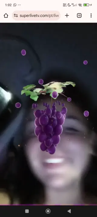fer leaked video, frame 5