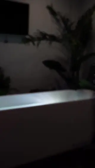 flexwness leaked video preview