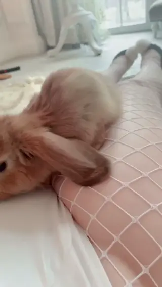 frauleinmilk leaked video preview