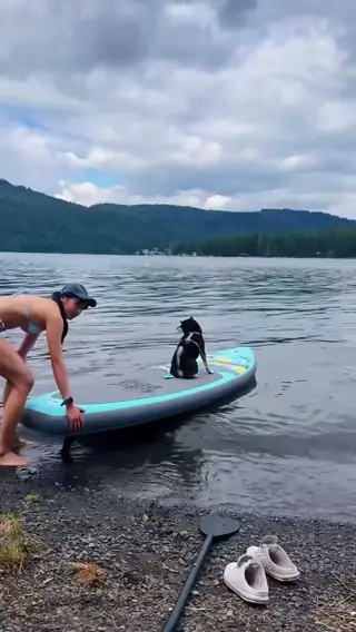 ggshacylin leaked video preview