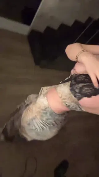 ginalaitschek leaked video, frame 3