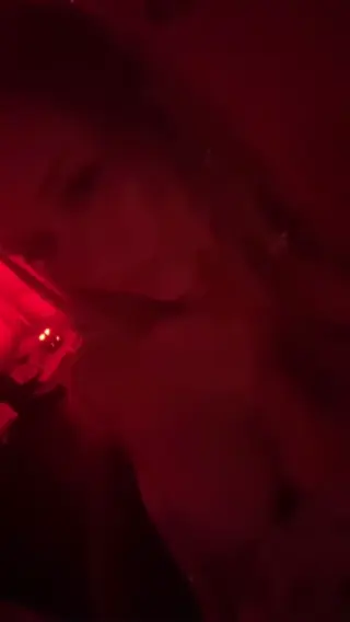 ginalaitschek leaked video preview